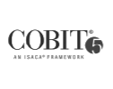 cobit-1